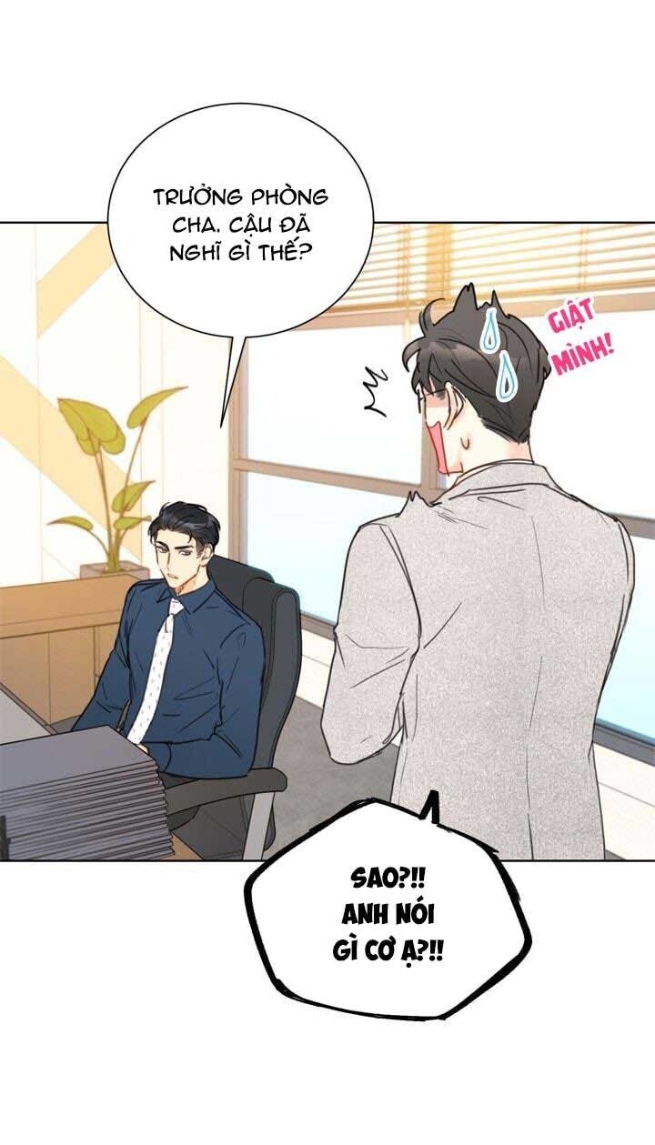 Hẹn Hò Chốn Công Sở Chapter 26 - Trang 2