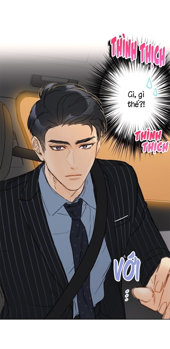 Hẹn Hò Chốn Công Sở Chapter 28 - Trang 2