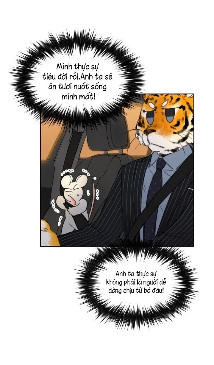 Hẹn Hò Chốn Công Sở Chapter 28 - Trang 2