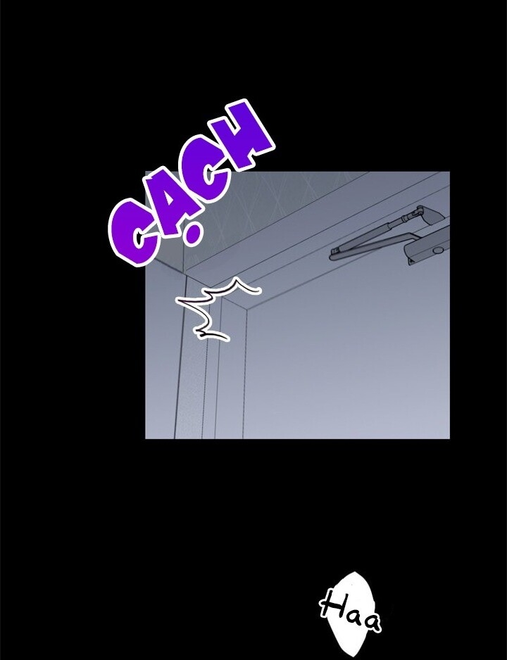 Hẹn Hò Chốn Công Sở Chapter 31 - Trang 2