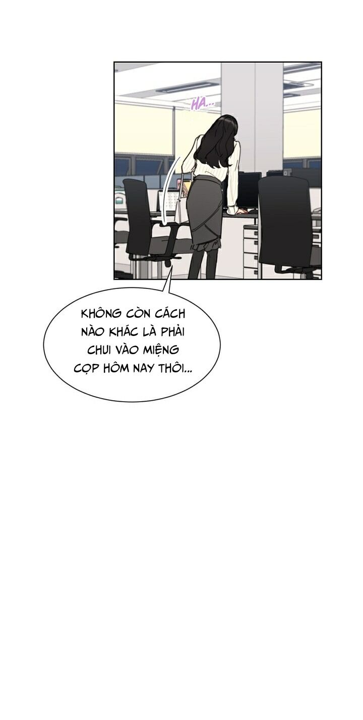 Hẹn Hò Chốn Công Sở Chapter 39 - Trang 2