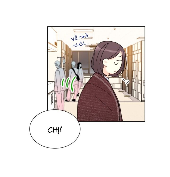 Hẹn Hò Chốn Công Sở Chapter 41 - Trang 2