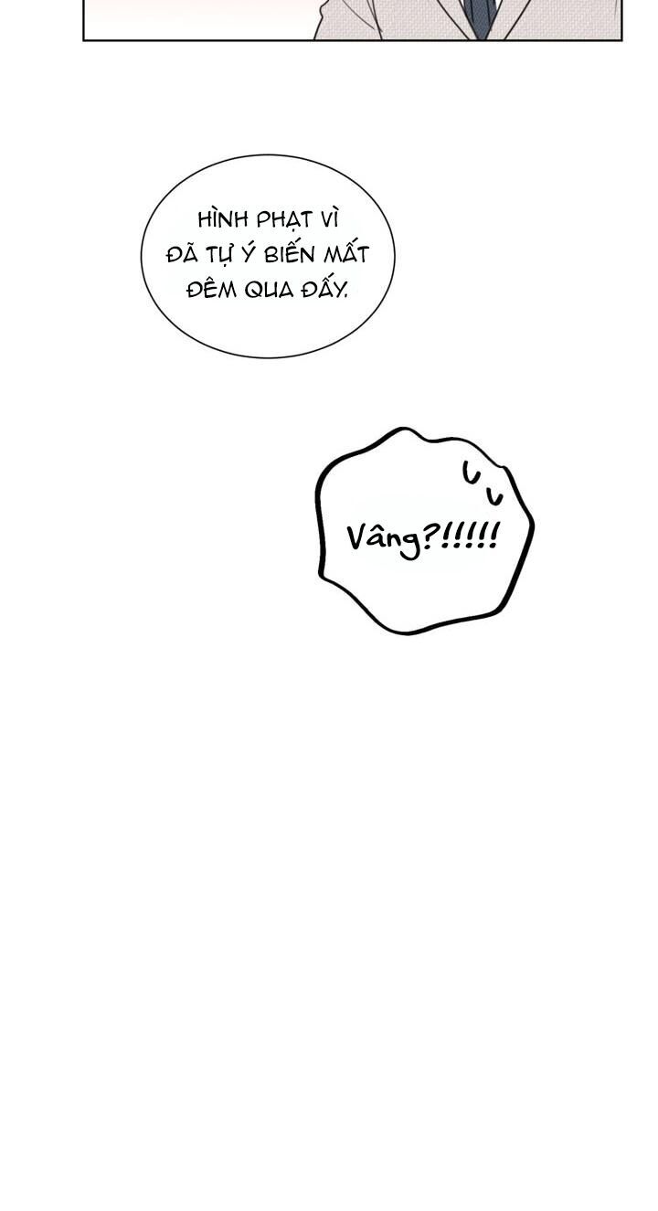 Hẹn Hò Chốn Công Sở Chapter 43 - Trang 2