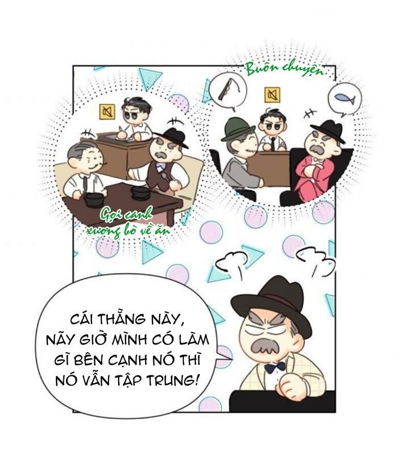 Hẹn Hò Chốn Công Sở Chapter 48 - Trang 2