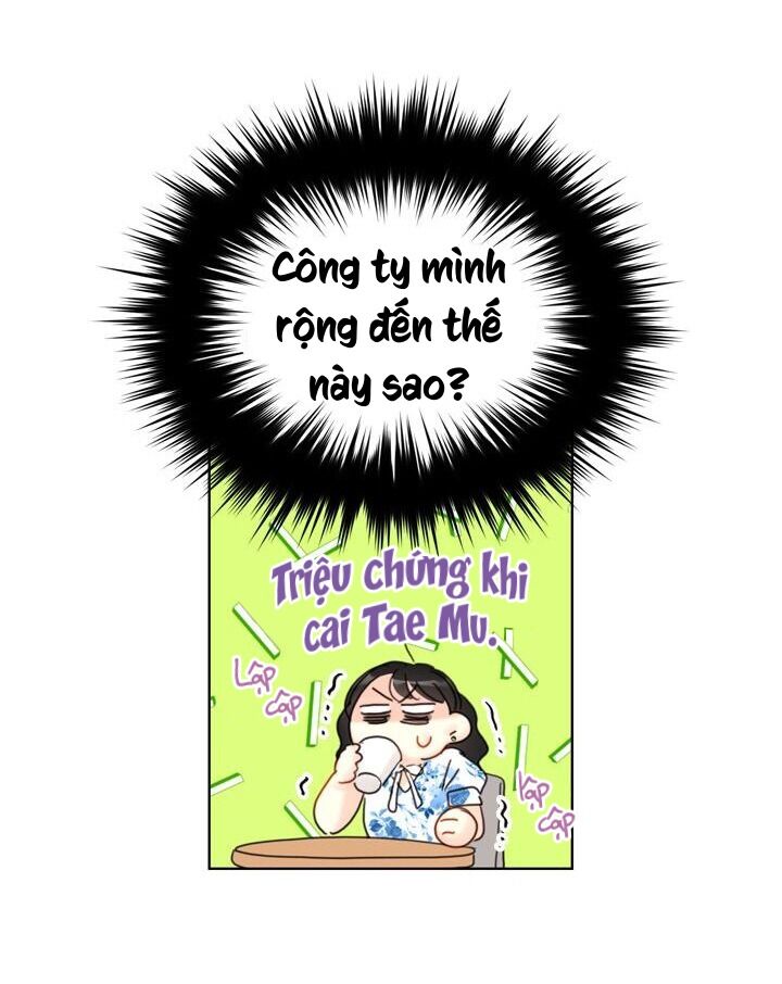 Hẹn Hò Chốn Công Sở Chapter 49 - Trang 2