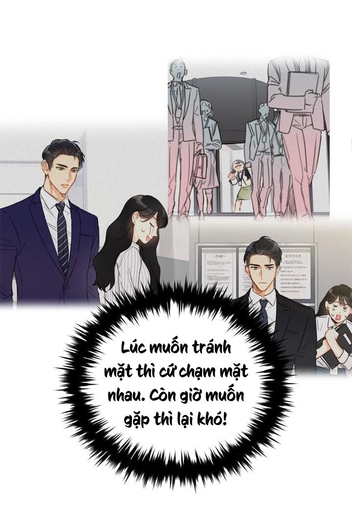 Hẹn Hò Chốn Công Sở Chapter 49 - Trang 2