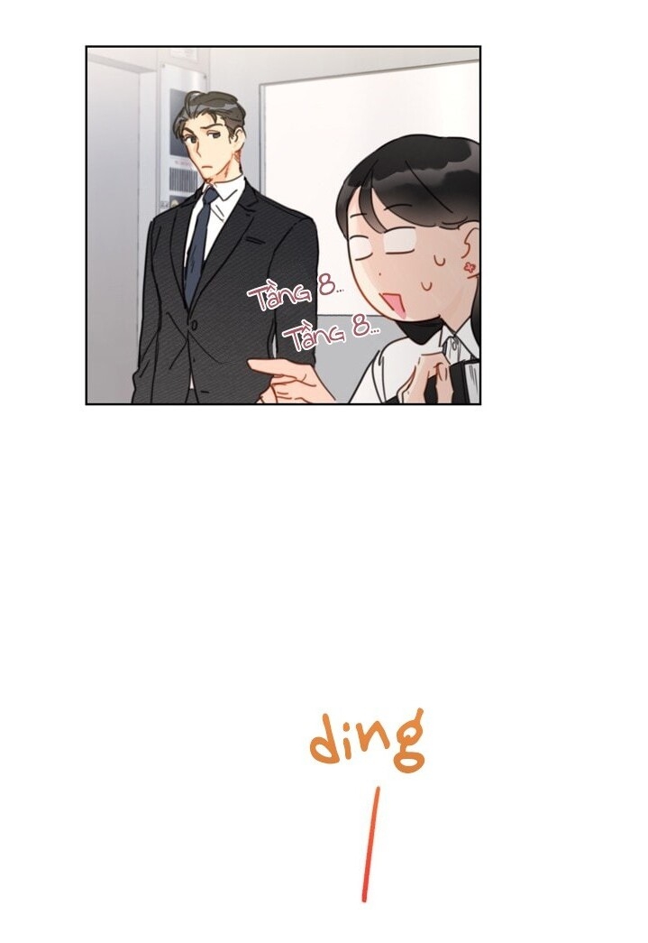 Hẹn Hò Chốn Công Sở Chapter 5 - Trang 2