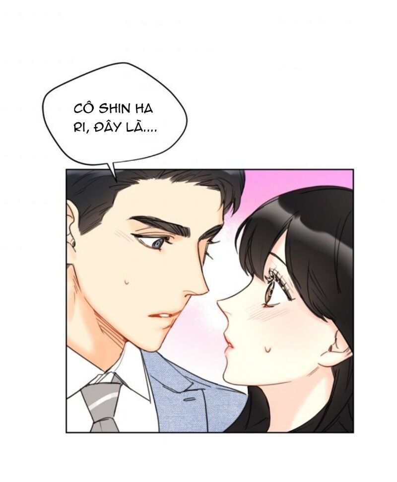 Hẹn Hò Chốn Công Sở Chapter 52 - Trang 2