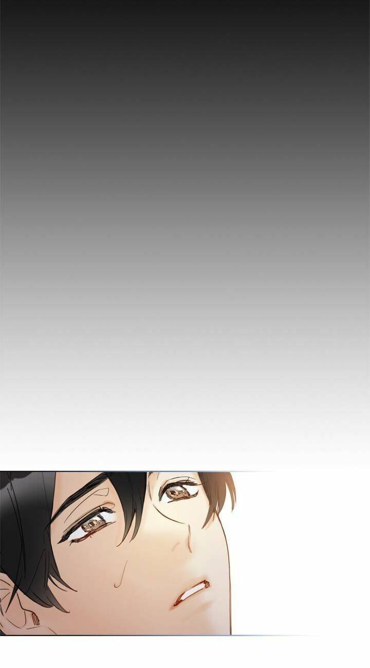 Hẹn Hò Chốn Công Sở Chapter 67 - Trang 2