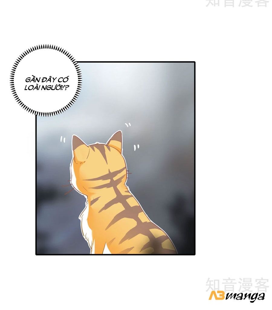 Hẹn Hò Siêu Tốc Chapter 1 - Trang 2