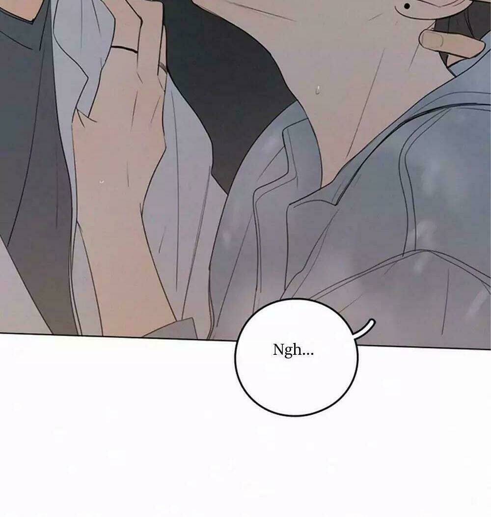 Here U Are Chapter 36 - Trang 2