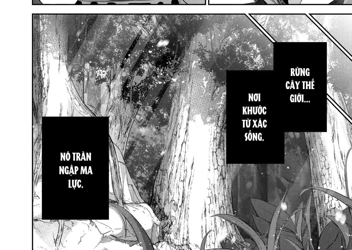 Hiền Giả Trở Thành Lich Chapter 14 - Trang 2