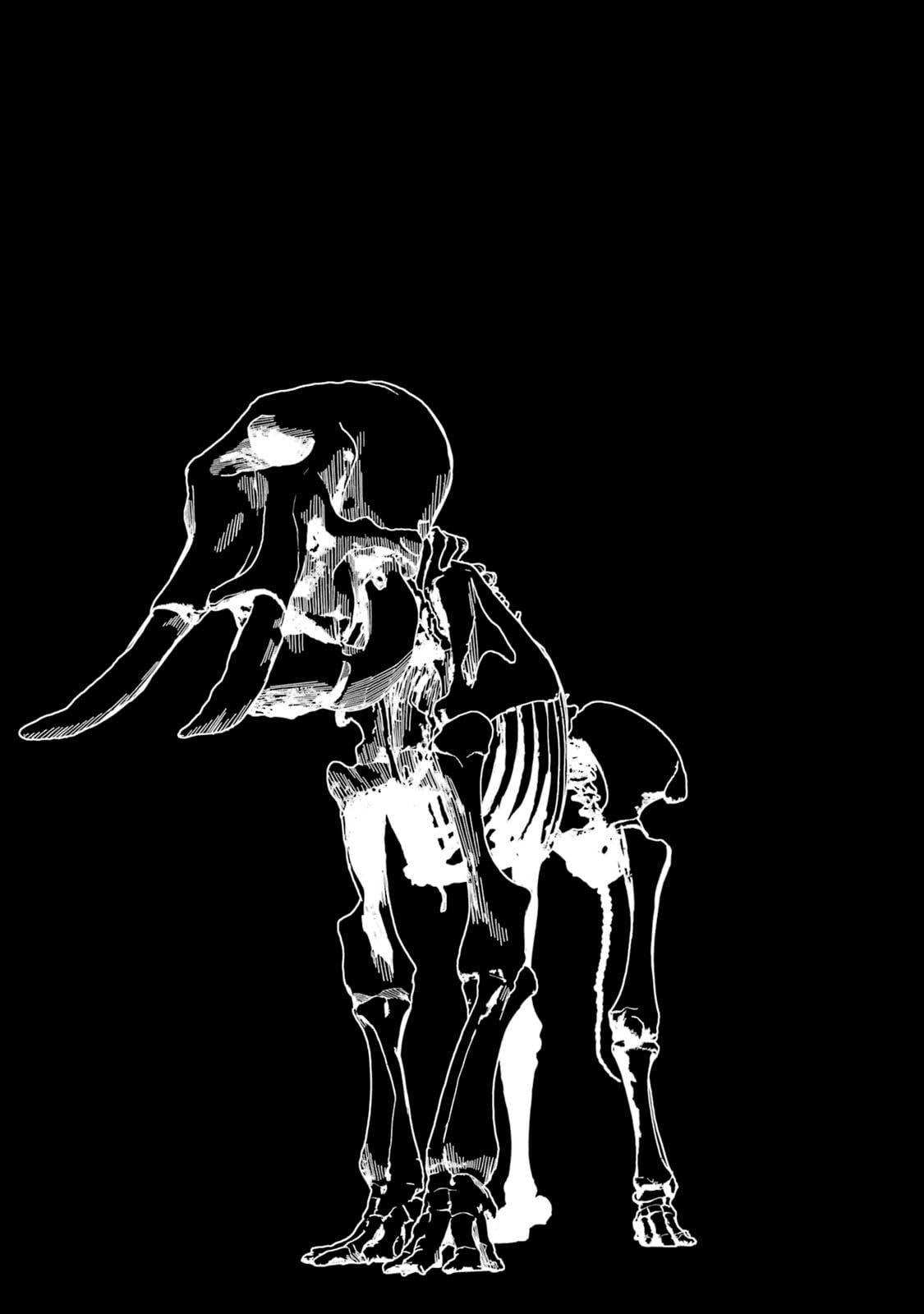 Hiền Giả Trở Thành Lich Chapter 42 - Trang 2