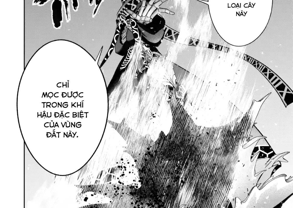 Hiền Giả Trở Thành Lich Chapter 50 - Trang 2