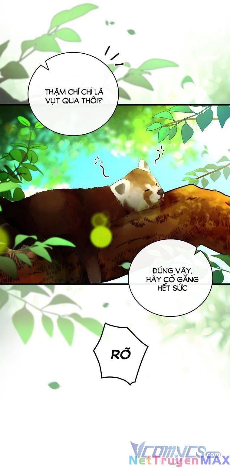 Hiệp Sĩ Hoa Băng Chapter 25 - Trang 2