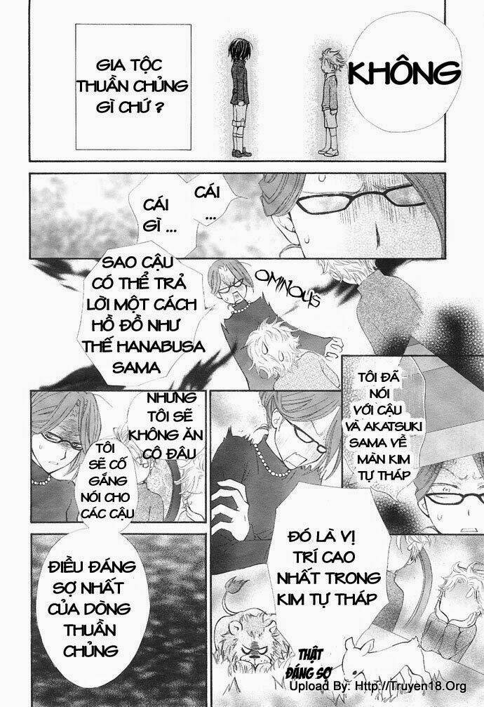 Hiệp Sĩ Vampire Chapter 28 - Trang 2