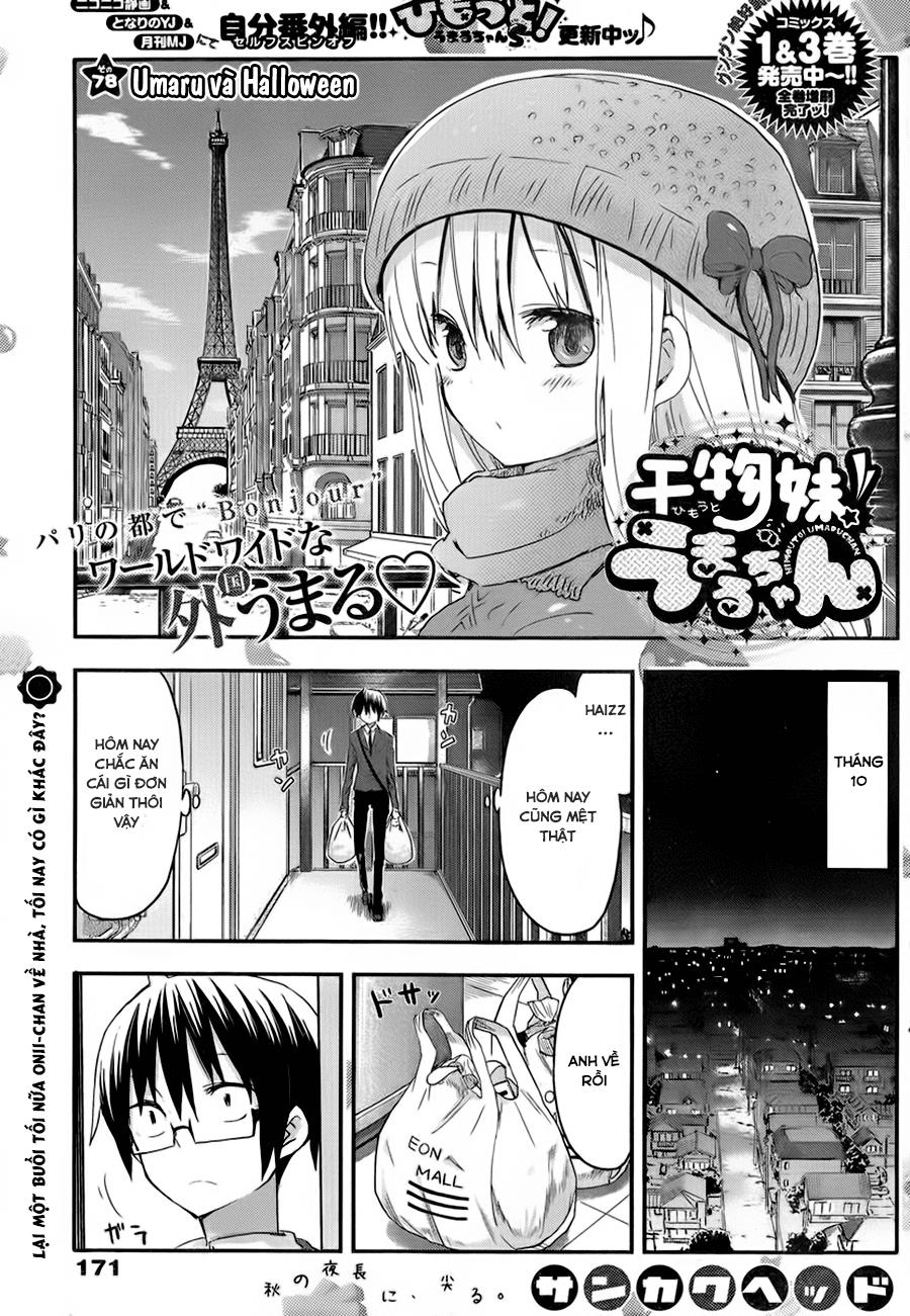 Himouto! Umaru-Chan Chapter 78 - Trang 2