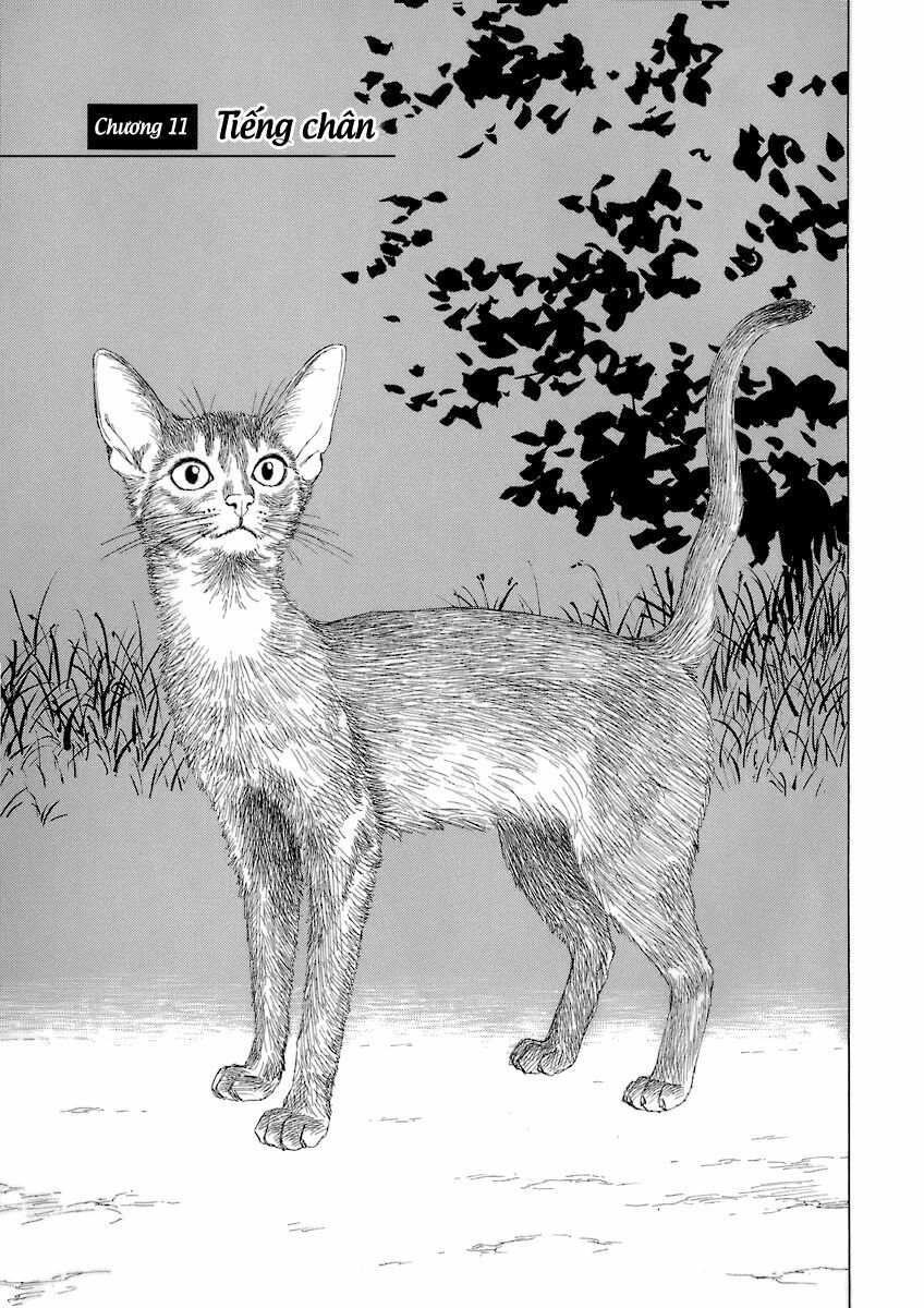 Historie Chapter 11 - Trang 2