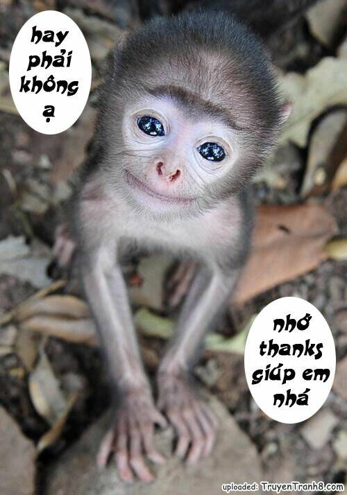 History’s Strongest Disciple Kenichi Chapter 121 - Trang 2