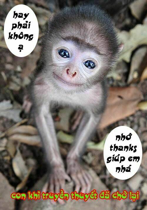 History’s Strongest Disciple Kenichi Chapter 127 - Trang 2