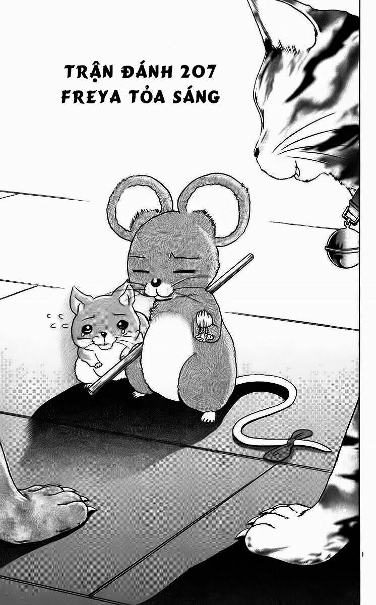 History’s Strongest Disciple Kenichi Chapter 207 - Trang 2