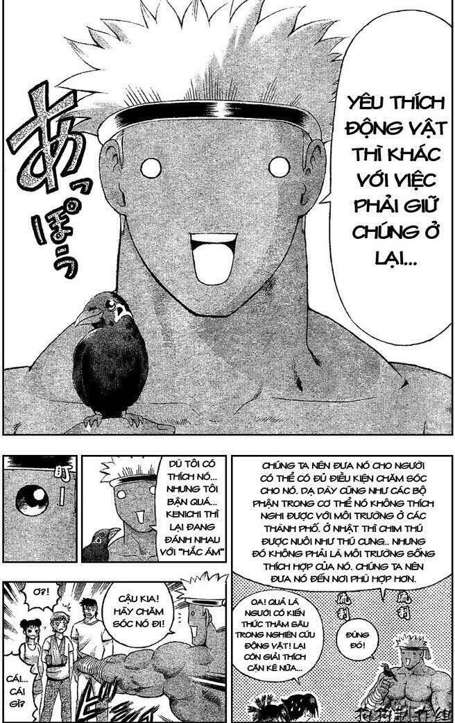 History’s Strongest Disciple Kenichi Chapter 313 - Trang 2