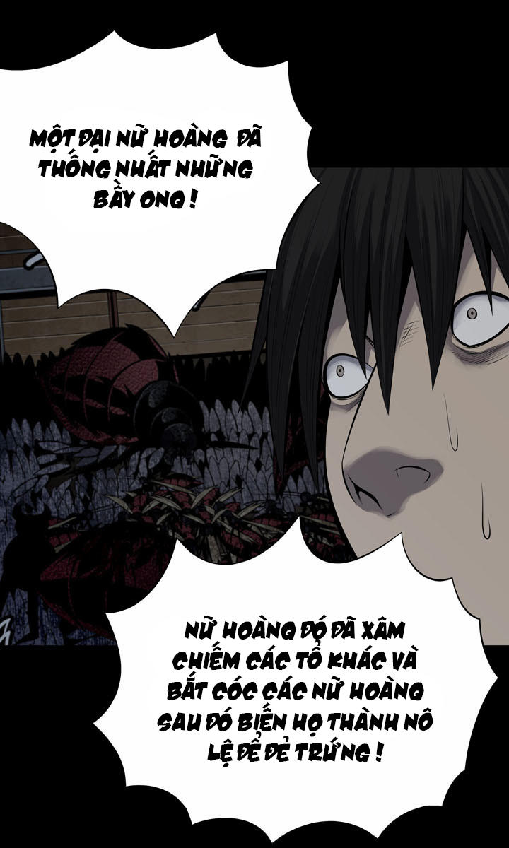 Hive Chapter 113 - Trang 2