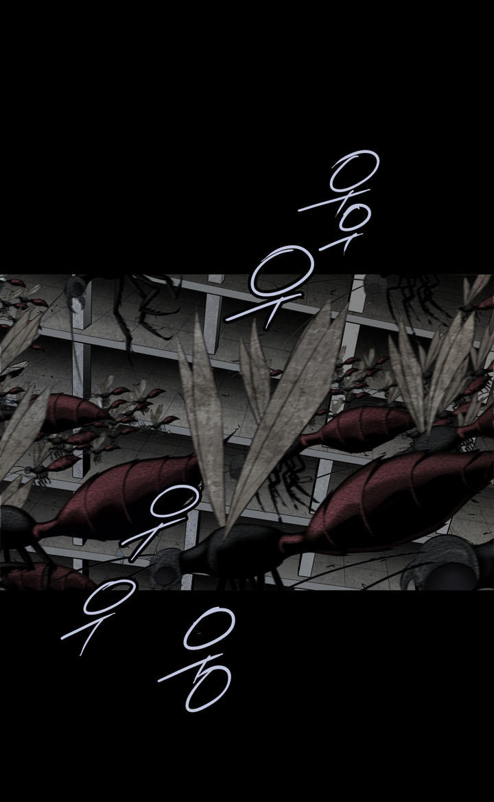 Hive Chapter 115 - Trang 2