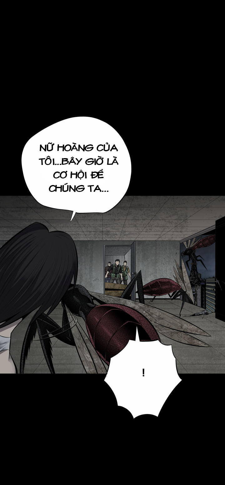 Hive Chapter 115 - Trang 2