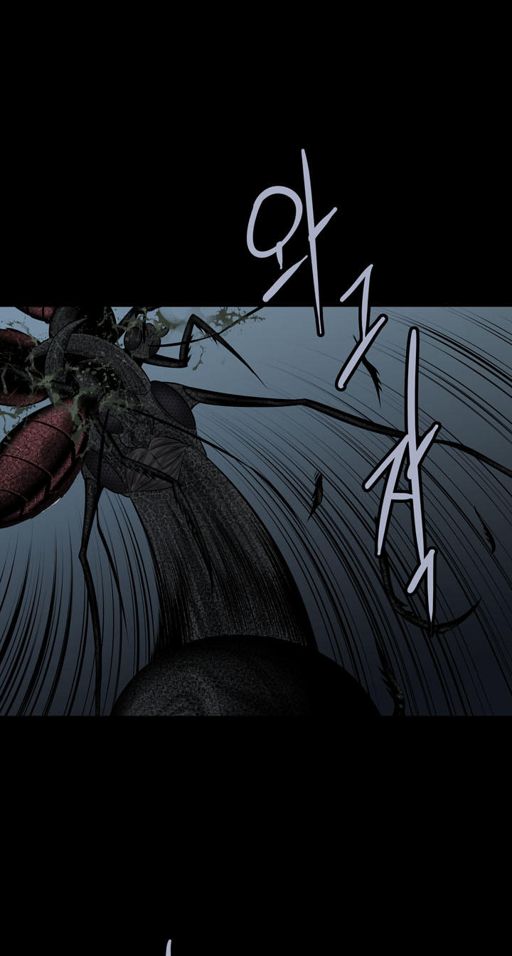 Hive Chapter 115 - Trang 2