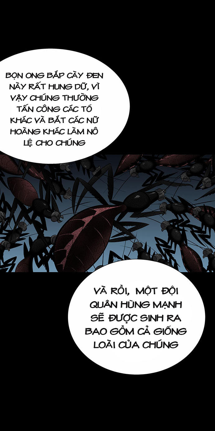 Hive Chapter 134 - Trang 2