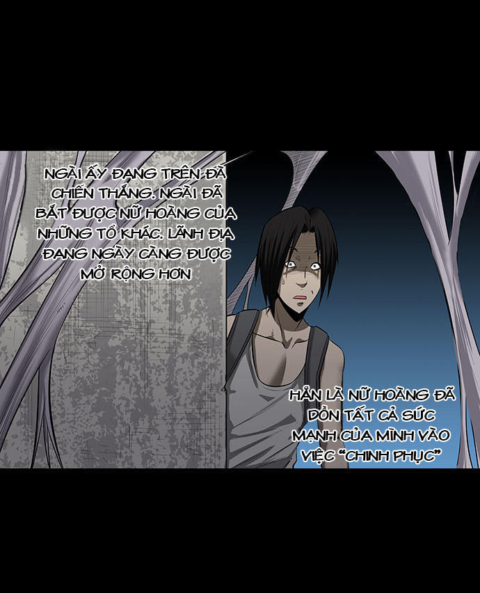 Hive Chapter 141 - Trang 2