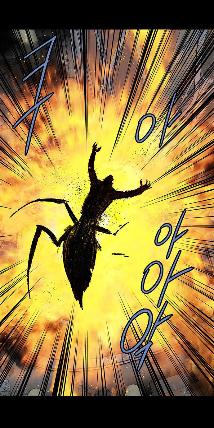 Hive Chapter 176 - Trang 2