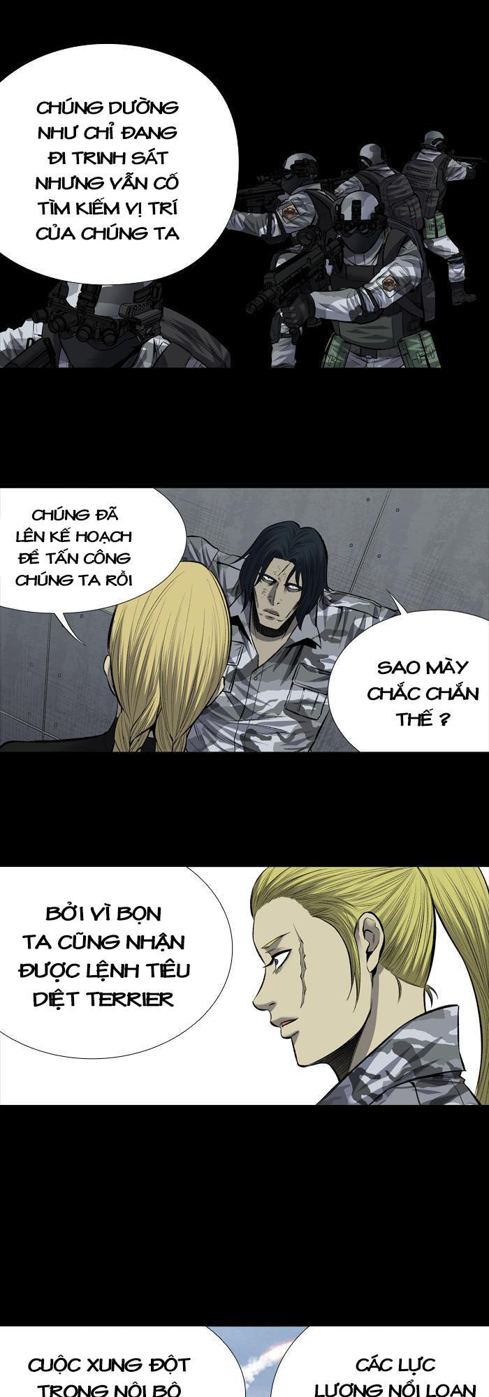 Hive Chapter 203 - Trang 2