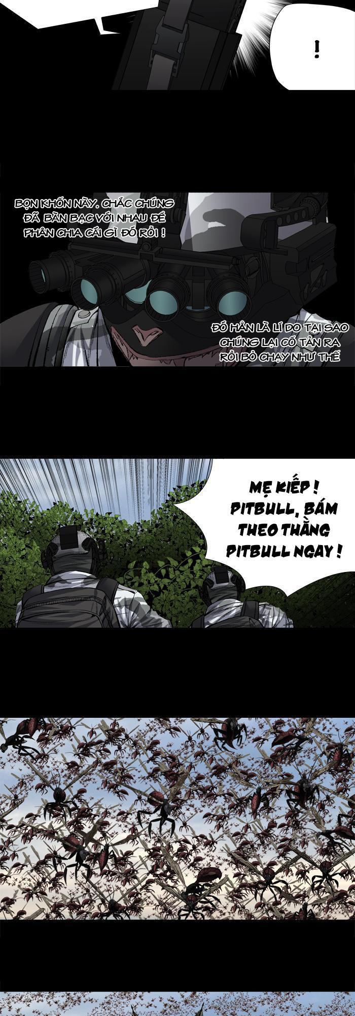 Hive Chapter 204 - Trang 2