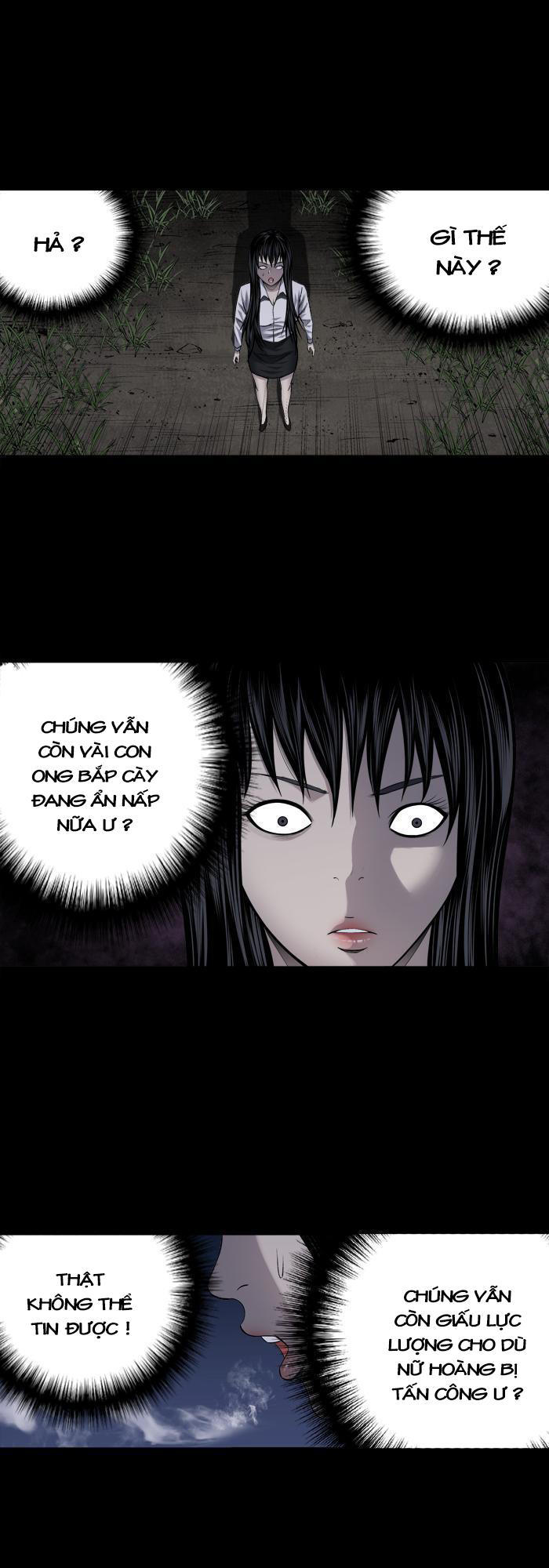 Hive Chapter 211 - Trang 2