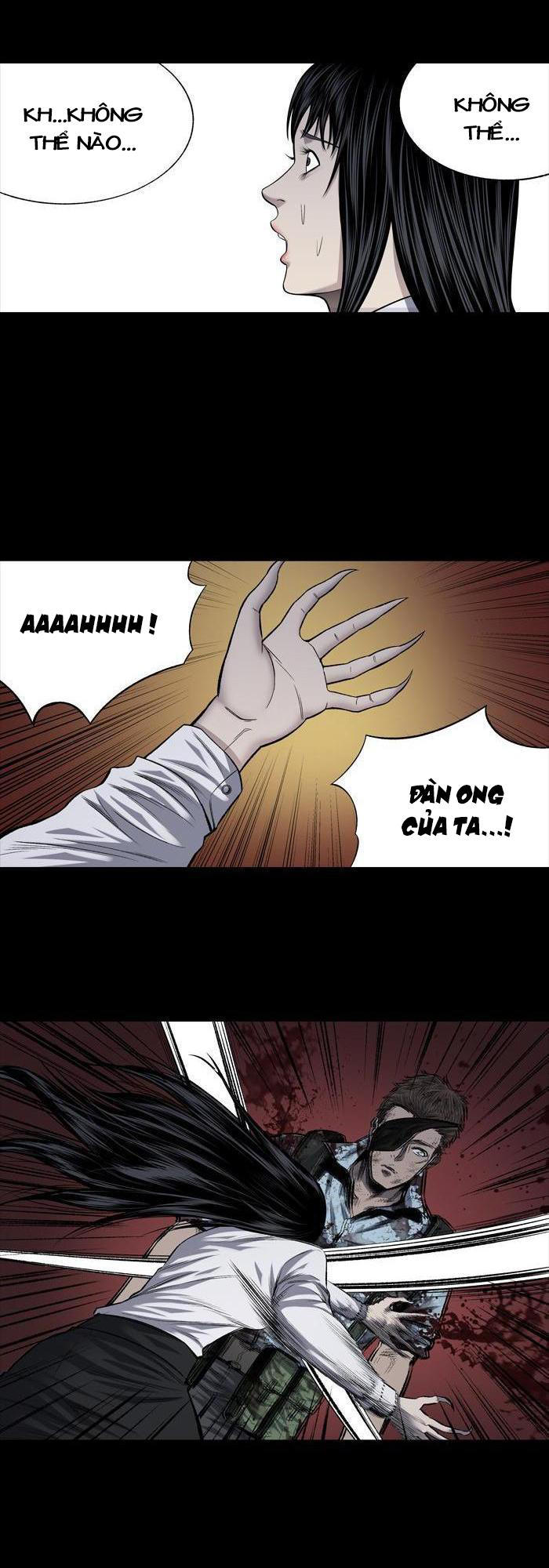 Hive Chapter 211 - Trang 2