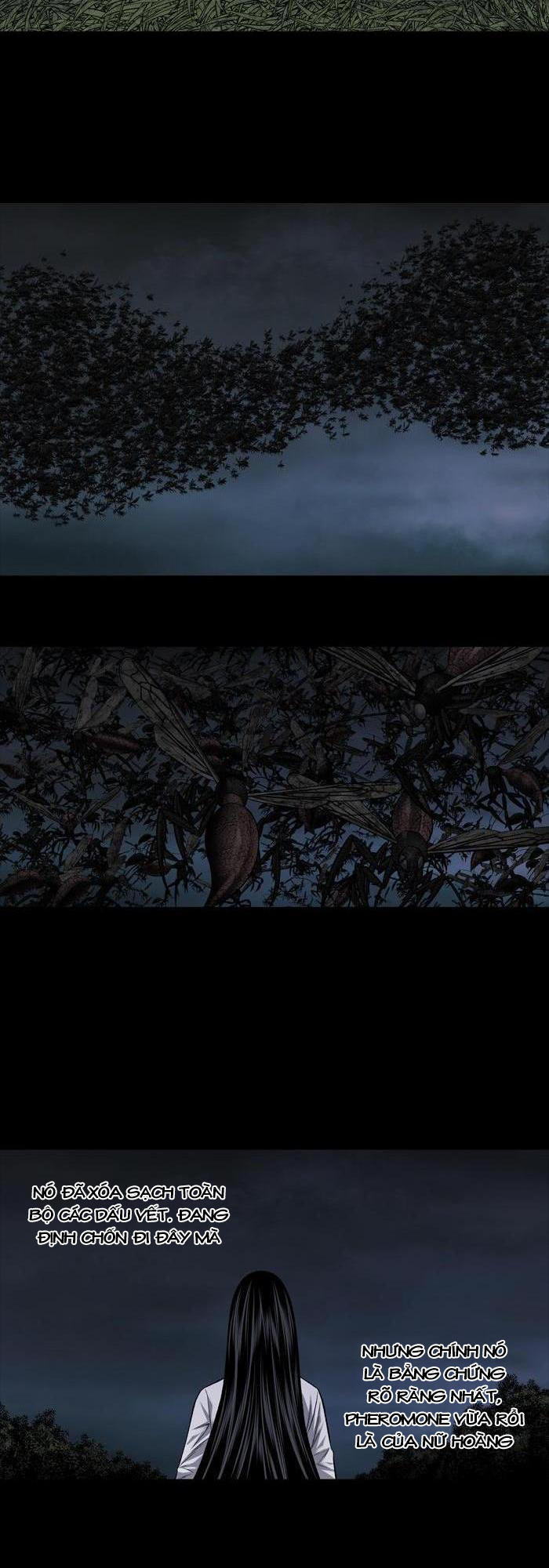 Hive Chapter 215 - Trang 2