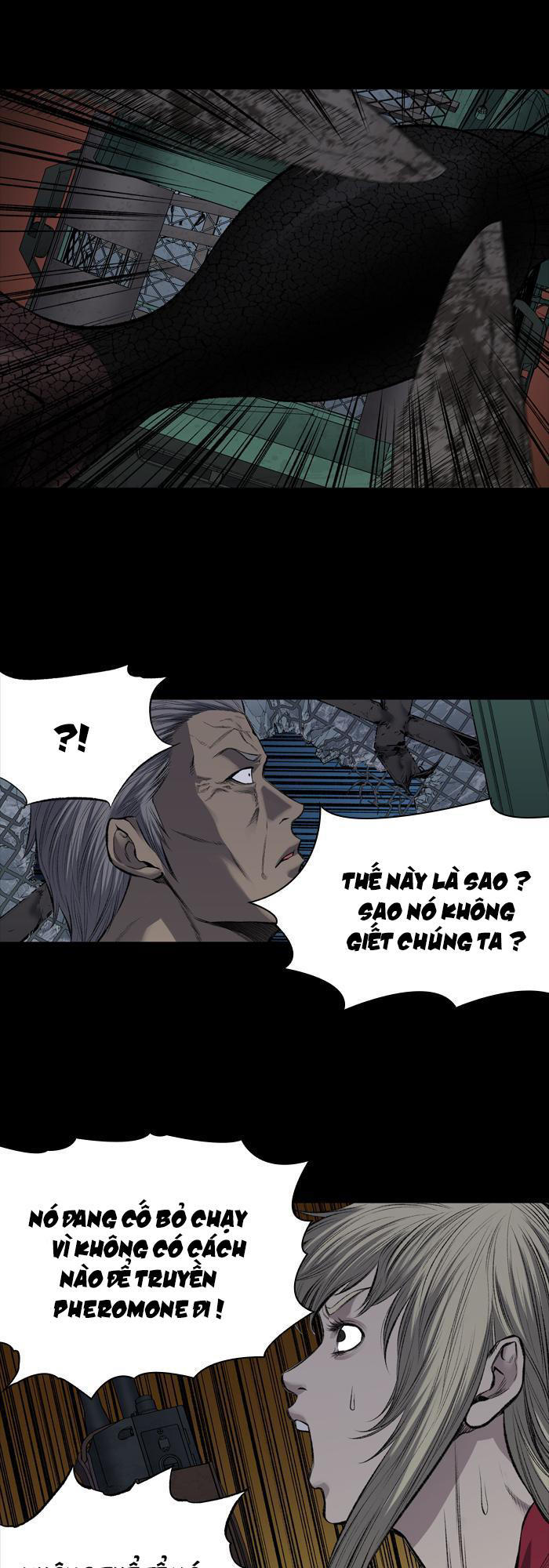 Hive Chapter 216 - Trang 2