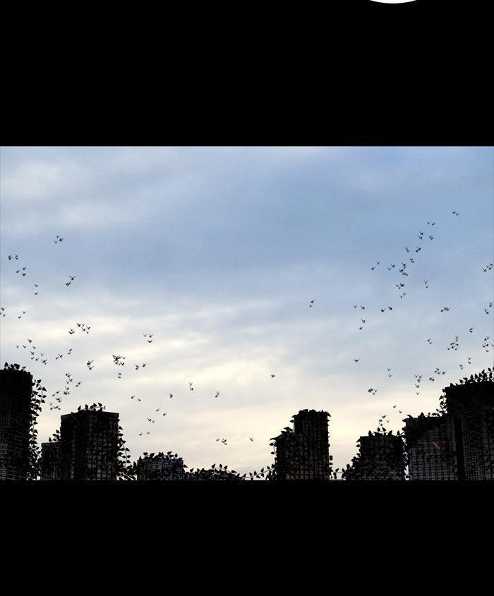 Hive Chapter 223 - Trang 2