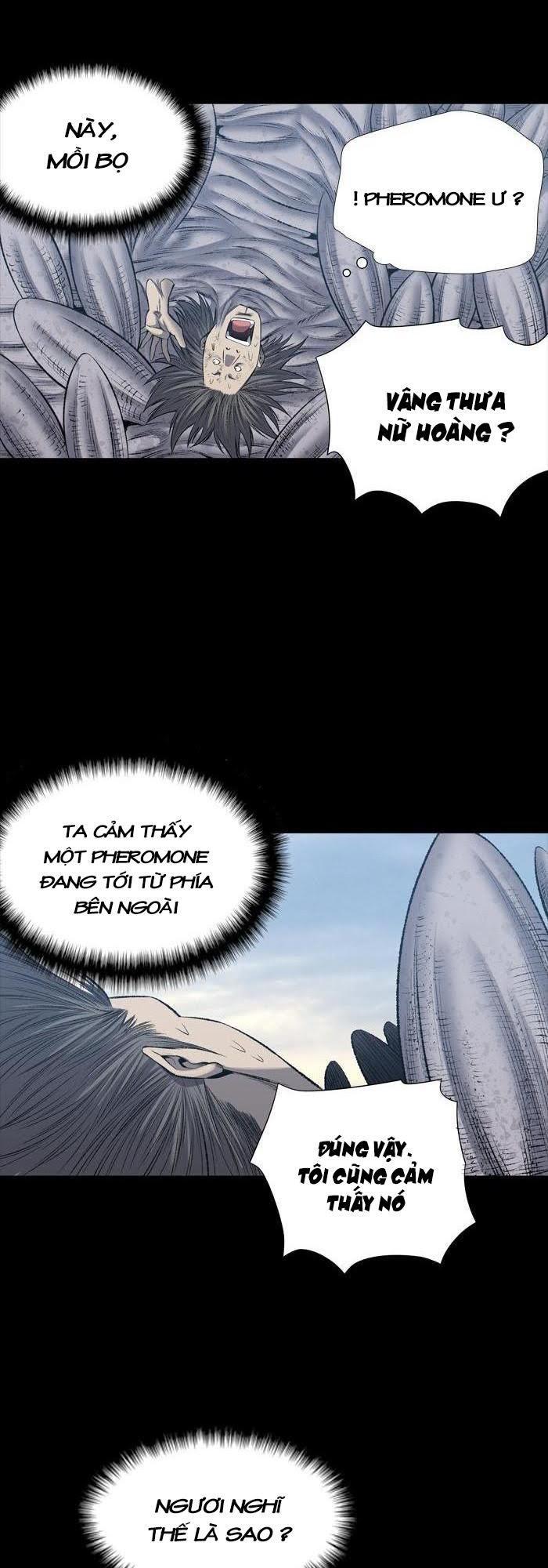 Hive Chapter 226 - Trang 2