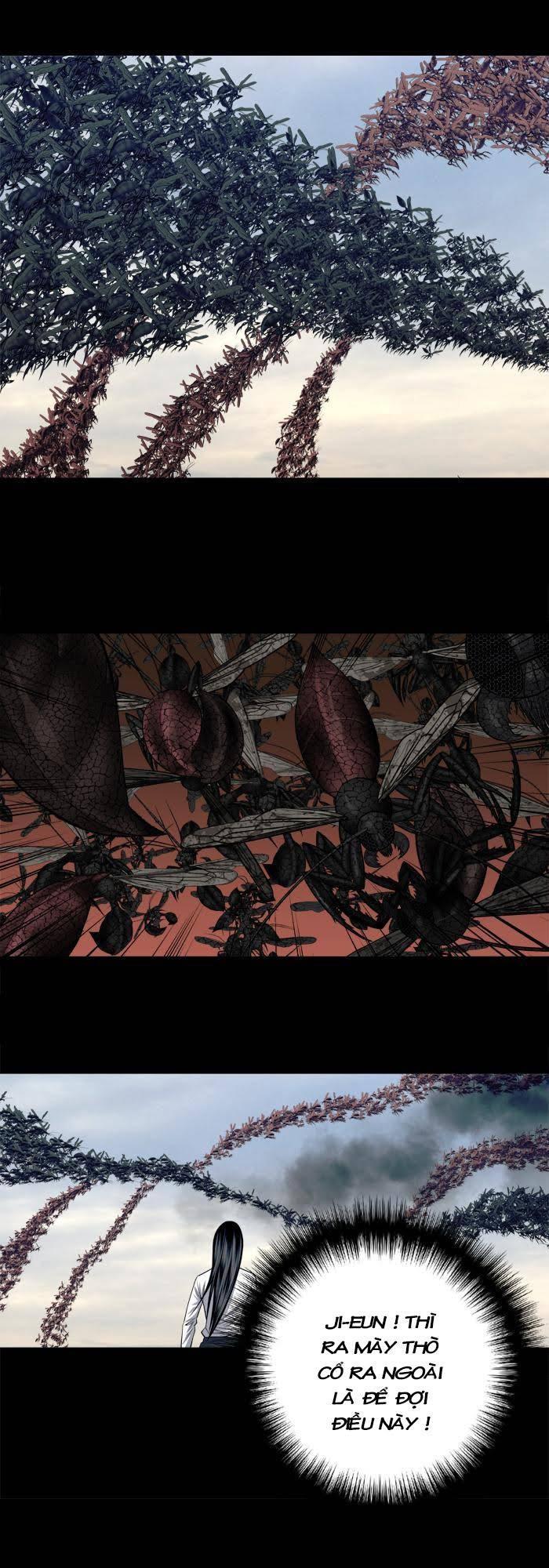 Hive Chapter 227 - Trang 2