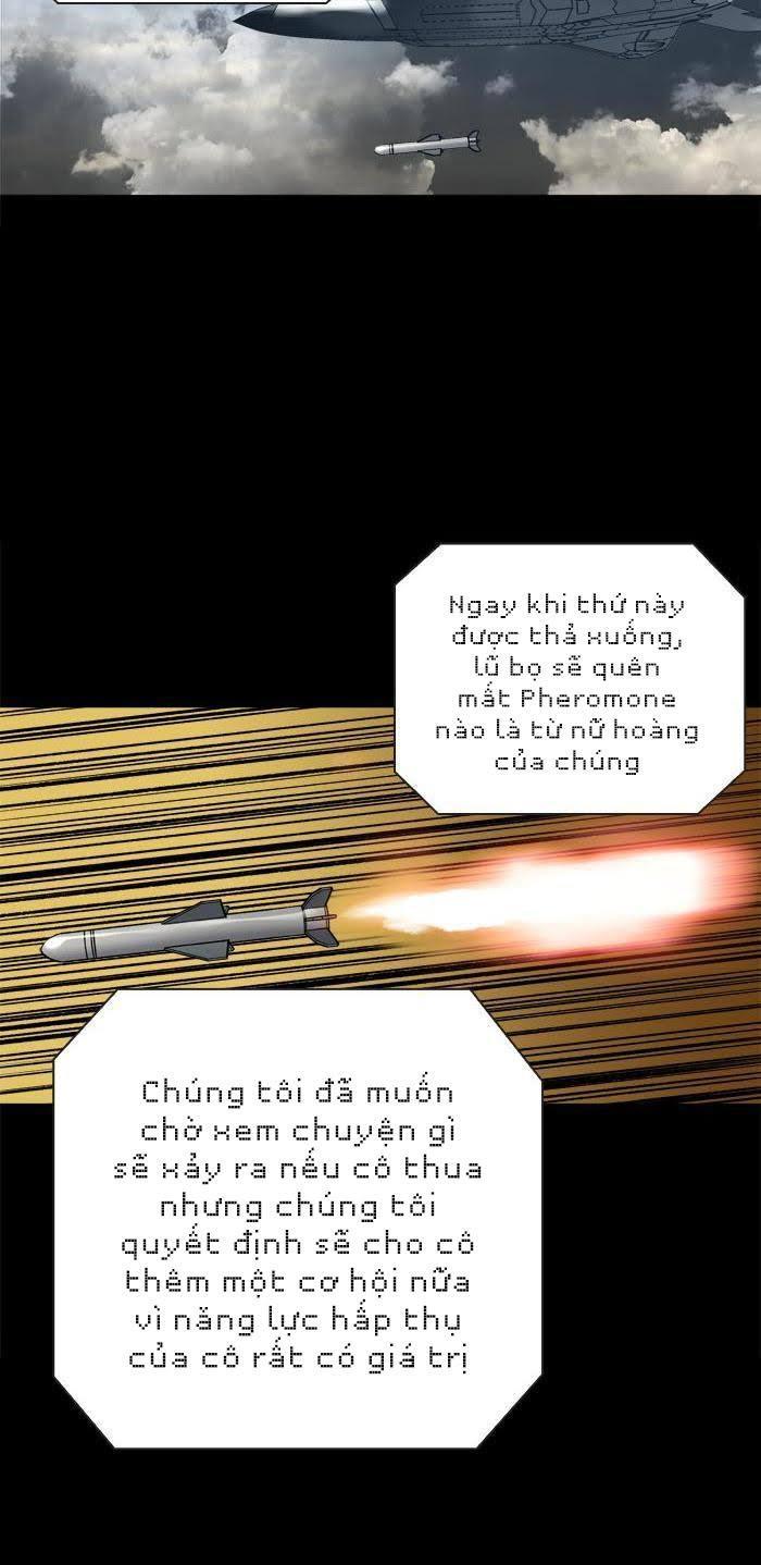 Hive Chapter 228 - Trang 2