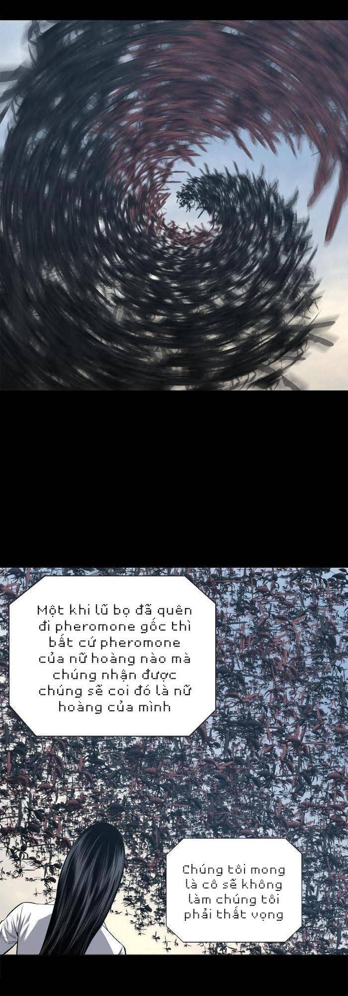 Hive Chapter 228 - Trang 2