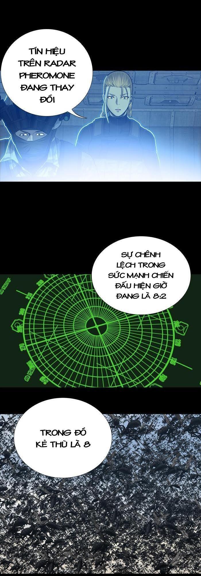 Hive Chapter 230 - Trang 2