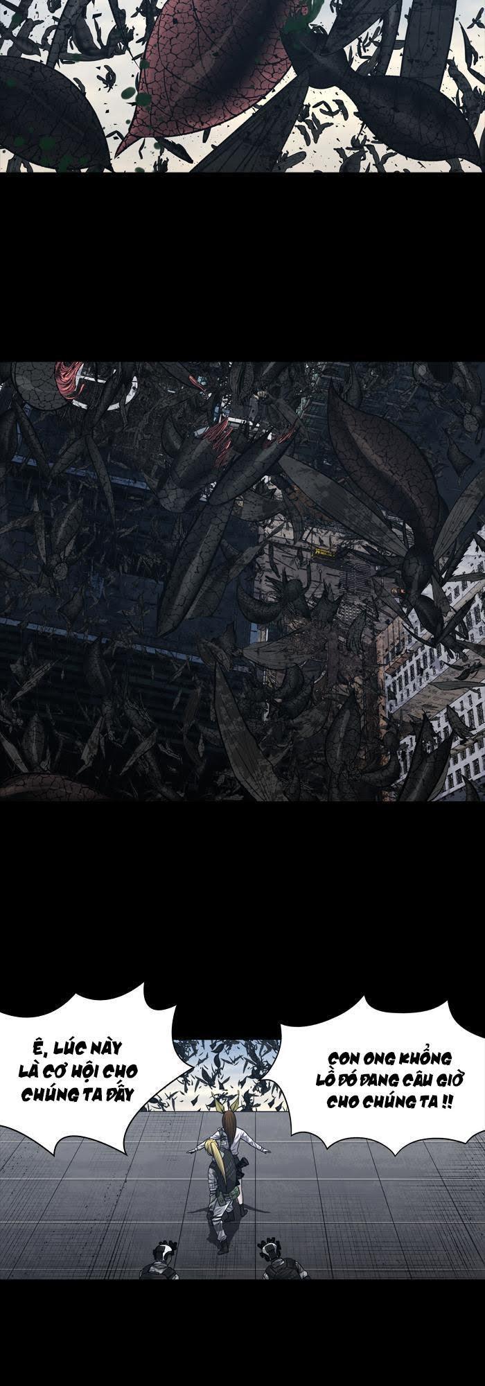 Hive Chapter 231 - Trang 2