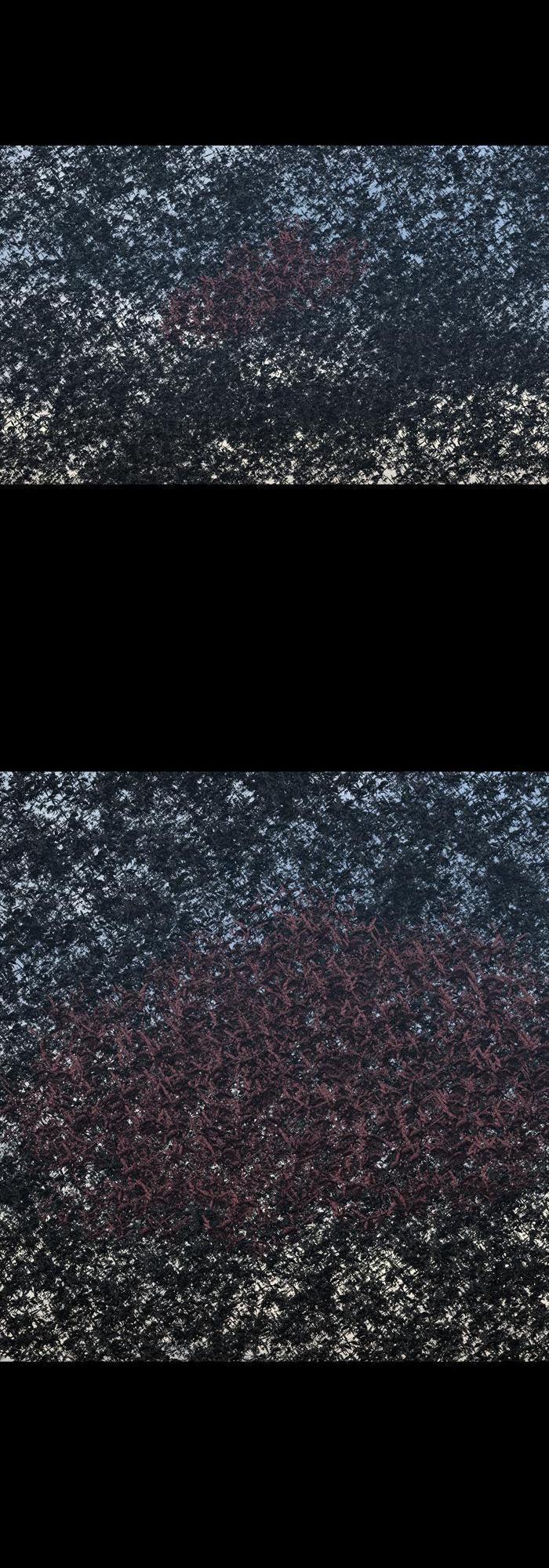 Hive Chapter 234 - Trang 2