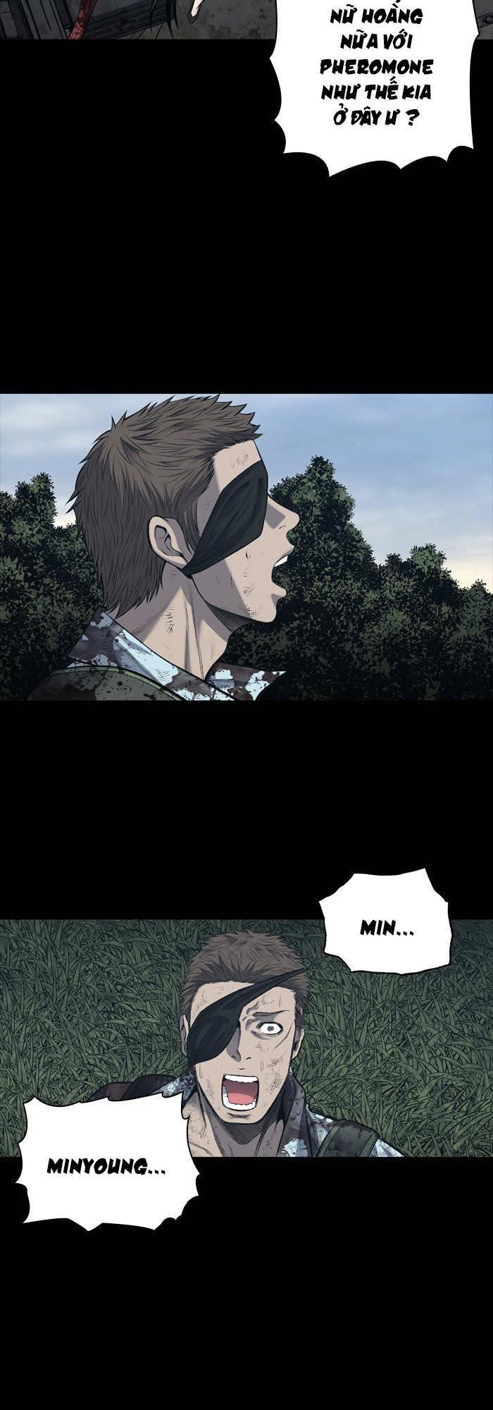 Hive Chapter 234 - Trang 2