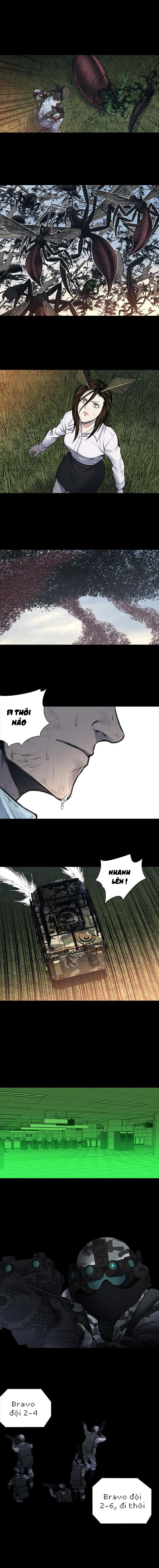 Hive Chapter 237 - Trang 2