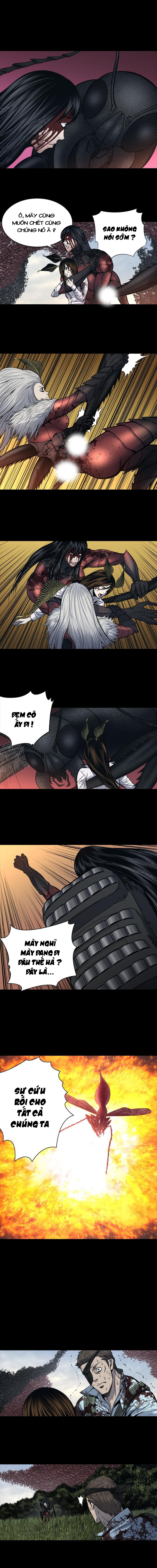 Hive Chapter 241 - Trang 2